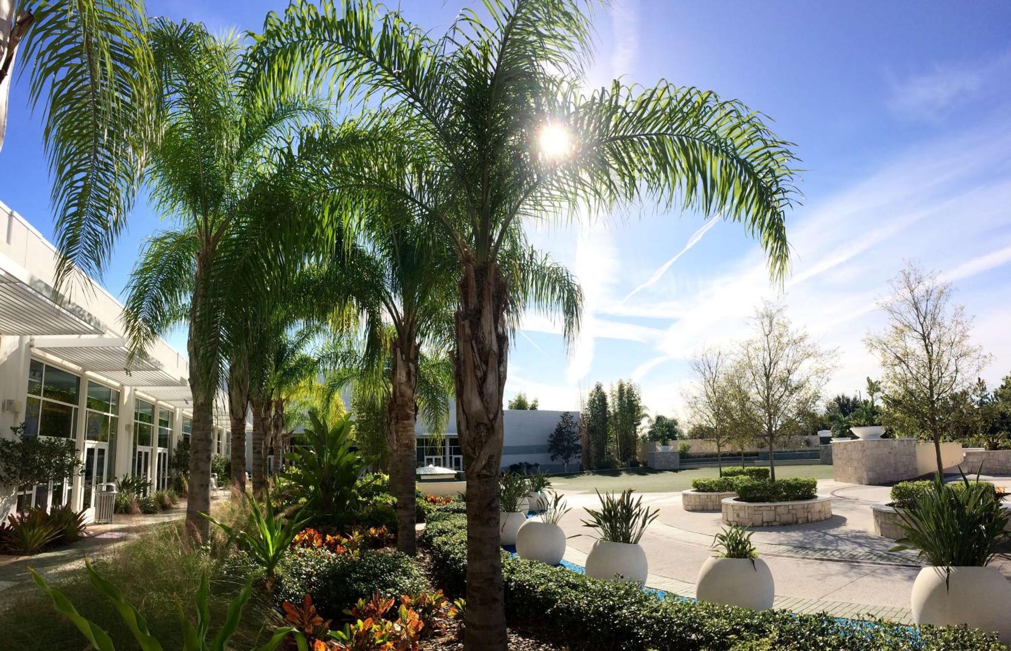 Hilton Orlando Hotel Williamsburg Exterior photo